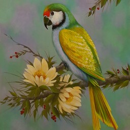 نقاشی رنگ روغن با قاب60در60 پرنده پرنده