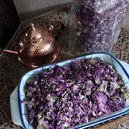 گل محمدی