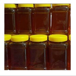 عسل طبیعی گیاهی 1 کیلویی ( امتحان پس داده افراد دیابتی)