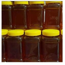 عسل طبیعی گیاهی 3 کیلویی (امتحان پس داده برای افراد دیابتی)
