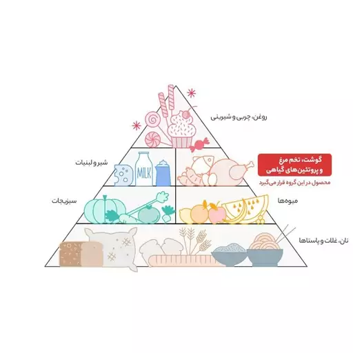 ماهی قزل آلا شکم خالی تازه مهیا پروتئین - 1 کیلوگرم