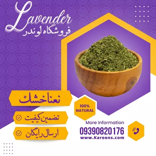 پودر نعنا خشک سابیده درجه یک (100 گرمی) فروشگاه لوندر