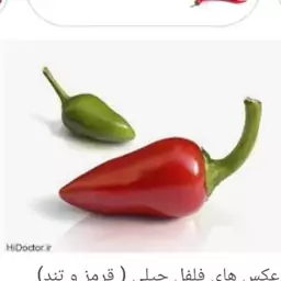 فلفل چیلی تند درجه 1 (80گرم)