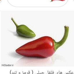 فلفل چیلی درجه 1 (100گرم)