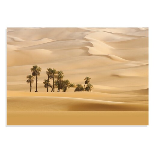 پوسترطرح درخت های نخل در بیابان Trees in Desert مدل NV0886