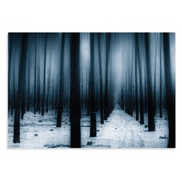 تابلو شاسی طرح جنگل تاریک برفی در زمستان Dark Forest Woods Snow Winter مدل NV0785