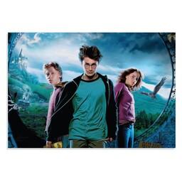 پوستر  طرح فیلم هری پاتر Harry Potter مدل NV0396