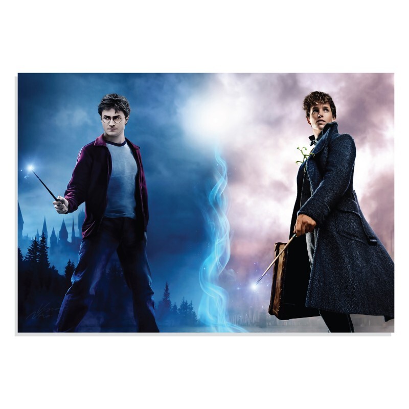 پوستر طرح فیلم هری پاتر Harry Potter مدل NV0392