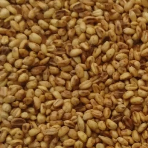 گندم برشته(بو داده) و سنتی  (300گرم) کارون