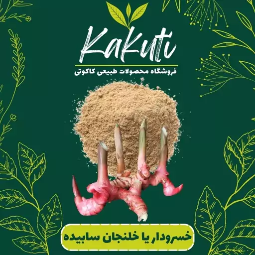 گالنگال یا خسرودار یا خلنجان  سابیده(75 گرمی) فروشگاه کاکوتی