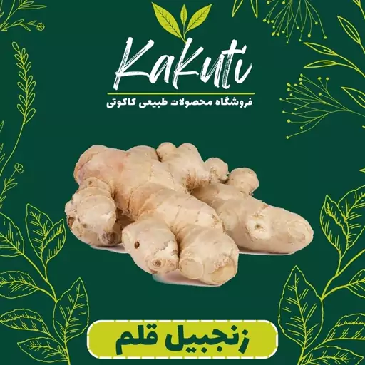 زنجبیل قلم ممتاز (100 گرمی) فروشگاه کاکوتی