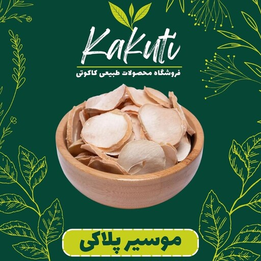 موسیر  پلاکی اعلا (65 گرمی) فروشگاه کاکوتی