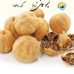 لیموعمانی زرد (500 گرمی) کارون