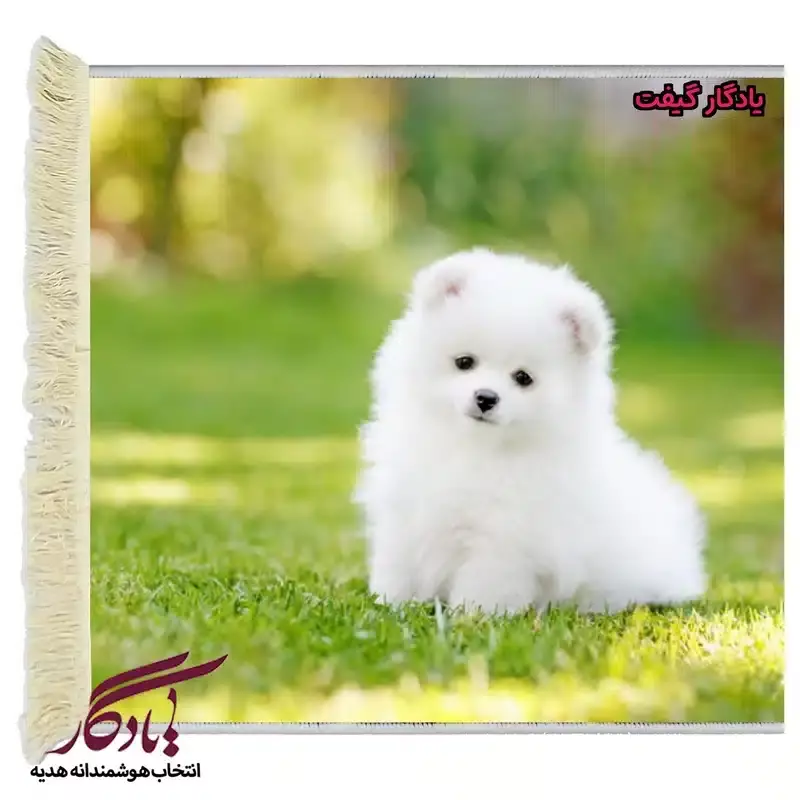 تابلو فرش ماشینی طرح حیوانات سگ پامر سفید کد h22 - 40*30