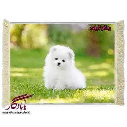 تابلو فرش ماشینی طرح حیوانات سگ پامر سفید کد h22 - 70*100