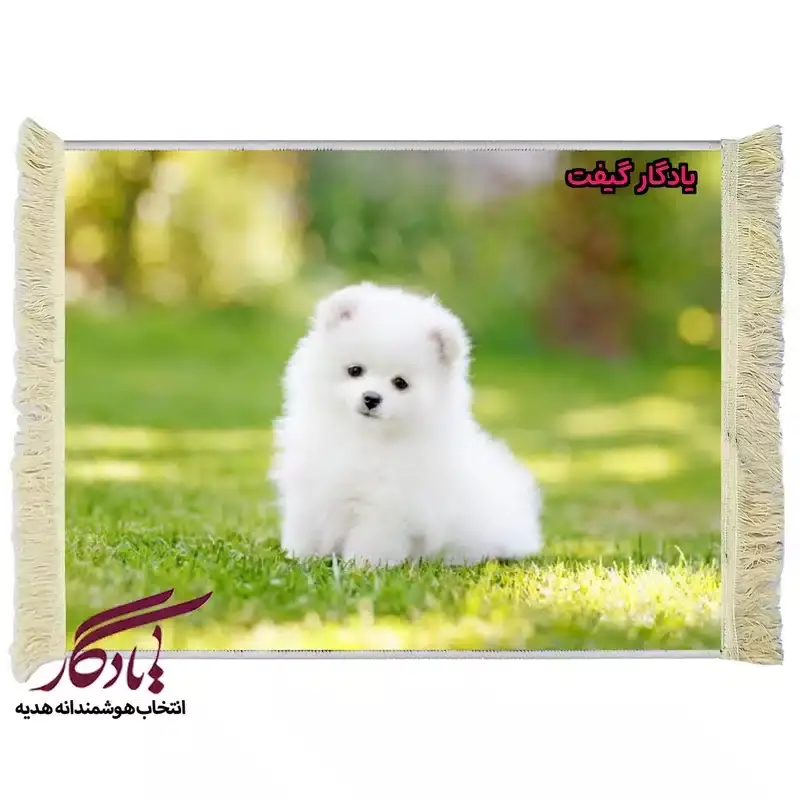 تابلو فرش ماشینی طرح حیوانات سگ پامر سفید کد h22 - 150*220