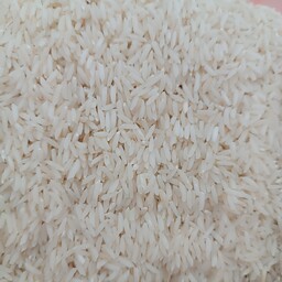 برنج دم سیاه کیفیت عالی کشت  1402 