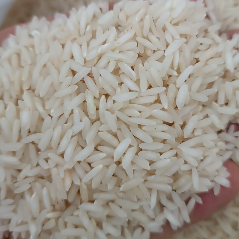 برنج هاشمی کشت دوم فوق معطر