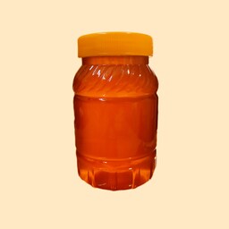 عسل طبیعی درمانی خالص از دامنه کوه سبلان (یک کیلویی)