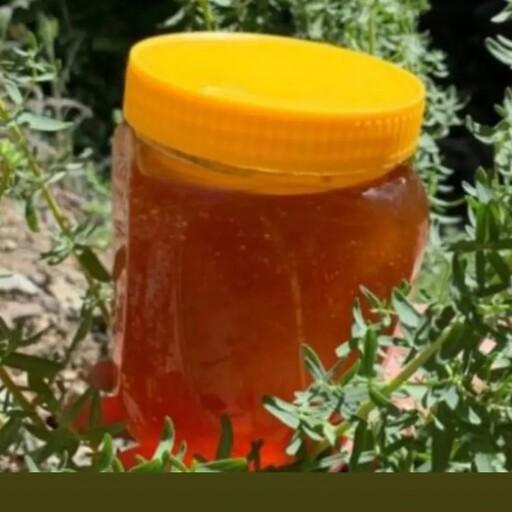 عسل صد در صد خالص طبیعی بهاره خشیل ساکروز زیر2