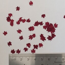 برگ مینیاتوری  جنس گل رز در هر  بسته 10 عدد