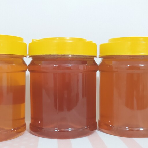 عسل کاملا طبیعی و بدون هیچگونه تغذیه ، ساکاروز زیر نیم درصد ، مناسب برای افراد دیابتی ،ارسال رایگان 