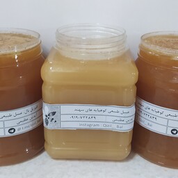 عسل طبیعی گون،رس شده ،با ساکاروز زیر 4 درصد  یک کیلویی ، و ارسال  به سراسر ایران 