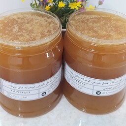عسل طبیعی گون همراه عسل با هوم داخل شهد،(رس شده) ،با ساکاروز زیر 4 درصد  یک کیلویی ، و ارسال رایگان به سراسر ایران