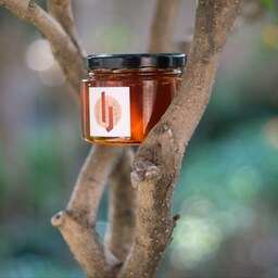 عسل آویشن را - 350 گرم - کاملا خالص و طبیعی