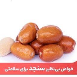 سنجد بومی درشت کاملا تازه و نرم با تضمین کیفیت و مرجوعی (یک کیلویی) 