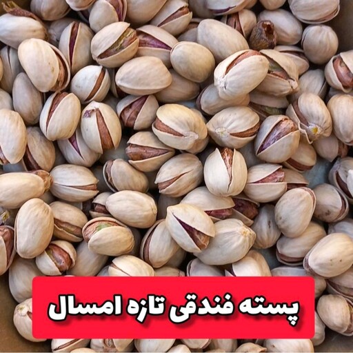 پسته فندقی اجیلی درجه ارسال رایگان با تضمین کیفیت و مرجوعی یک کیلویی