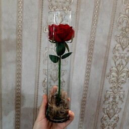 شیشه گل رزمصنوعی قرمز روز پدر30سانت