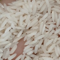 برنج خوشه طلایی درجه یک امراللهی کشت اول 50کیلویی 