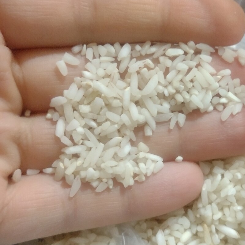 برنج خوشه طلایی درجه یک نیم دانه 40کیلویی