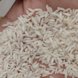 برنج خوشه طلایی درجه یک طارم عطری محلی 5کیلویی
