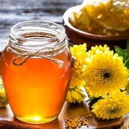 عسل خام چهل گیاه  خالص بدون دارو دهی و شکر تغذیه  500 گرمی 