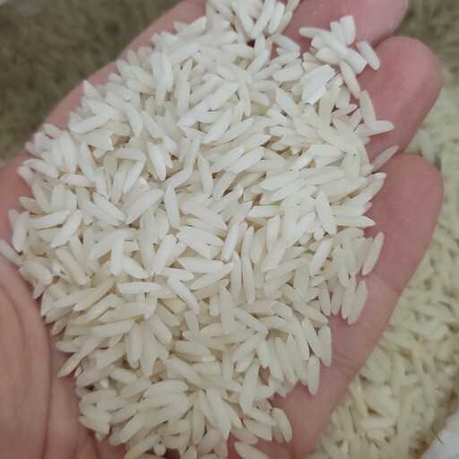 برنج طارم هاشمی درجه یک در بسته بندی 5 کیلوگرمی 