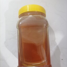 عسل چند گیاه ممتاز  خوش عطر و خوش طعم تازه 980 گرم خالص