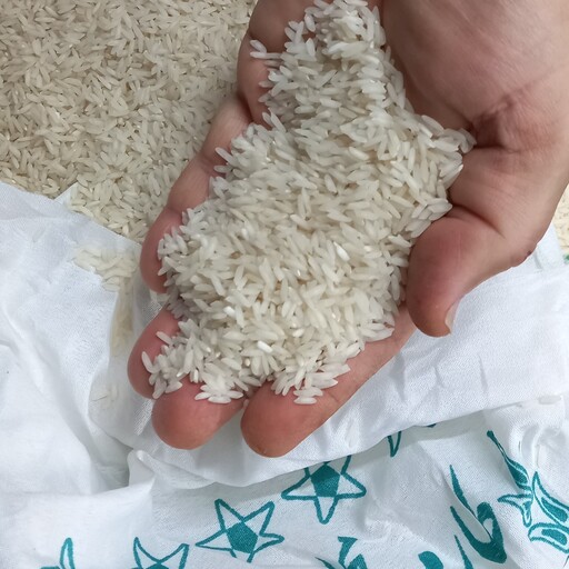  برنج طارم محلی معطر فریدونکنار،امساله کشت اول،10کیلویی