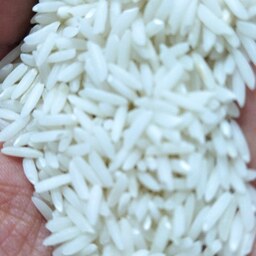 برنج هاشمی  گیلان  یک کیلویی ارسال رایگان