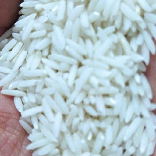 برنج هاشمی گیلان 2کیلویی ارسال رایگان