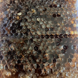 عسل سیاه موم دار وحشی (بمب انرژی)