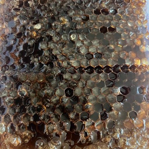 عسل سیاه موم وحشی (بمب انرژی)
