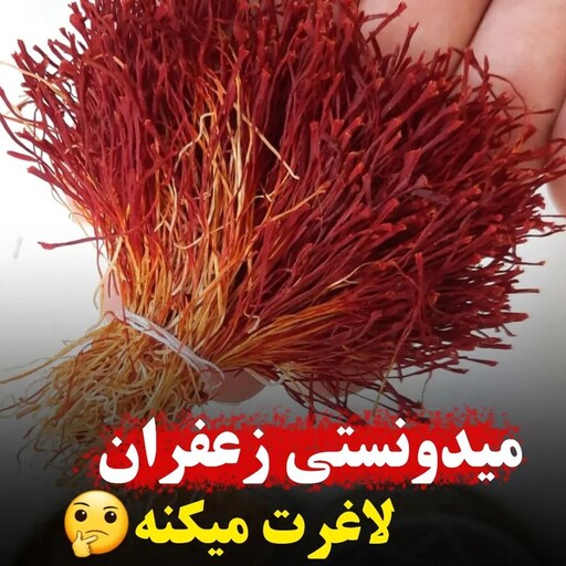 زعفران دختر پیچ درجه یک (یک مثقالی)