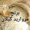 برنج مروارید گیلان