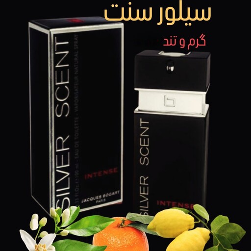 عطر گرمی (اسانس) سیلور سنت. جکس بوگارت    (   10 میل )   .      کیفیت عالی 