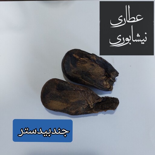 جند بیدستر 20 گرمی