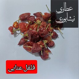 فلفل عنابی 100 گرمی