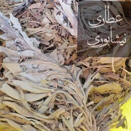 گیاه خرگوشک ( گل ماهور) 