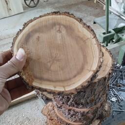 برش چوب تنه درخت بادام قطر 15سانت